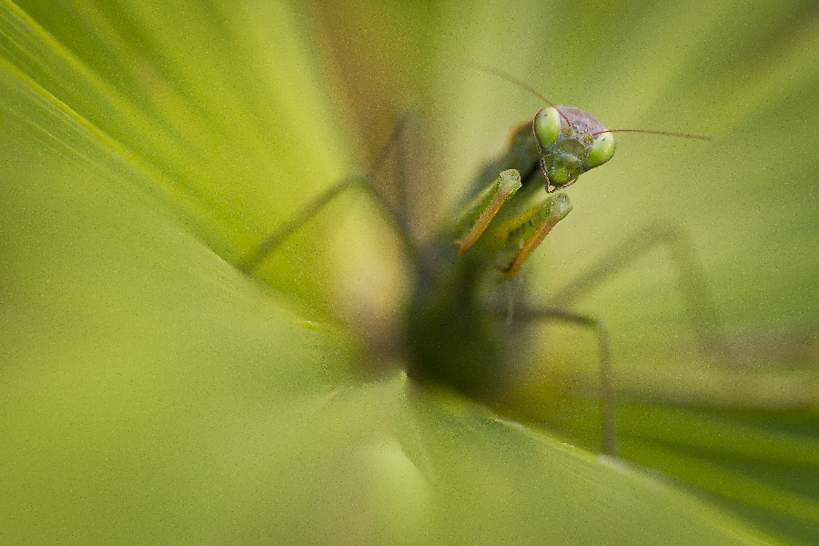 Accueil