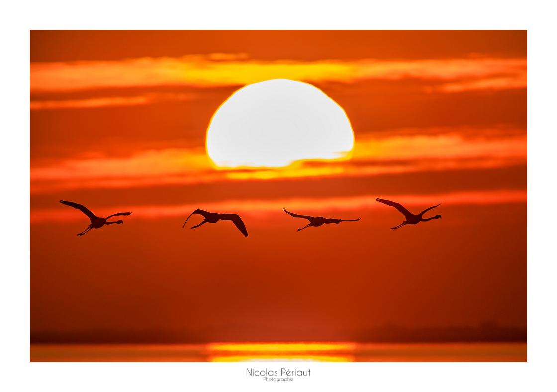 https://www.ascpf.fr/wp-content/uploads/hm_bbpui/15220/d35uzqg6u9pix3lbedd8ztvpovvfamkd.jpg