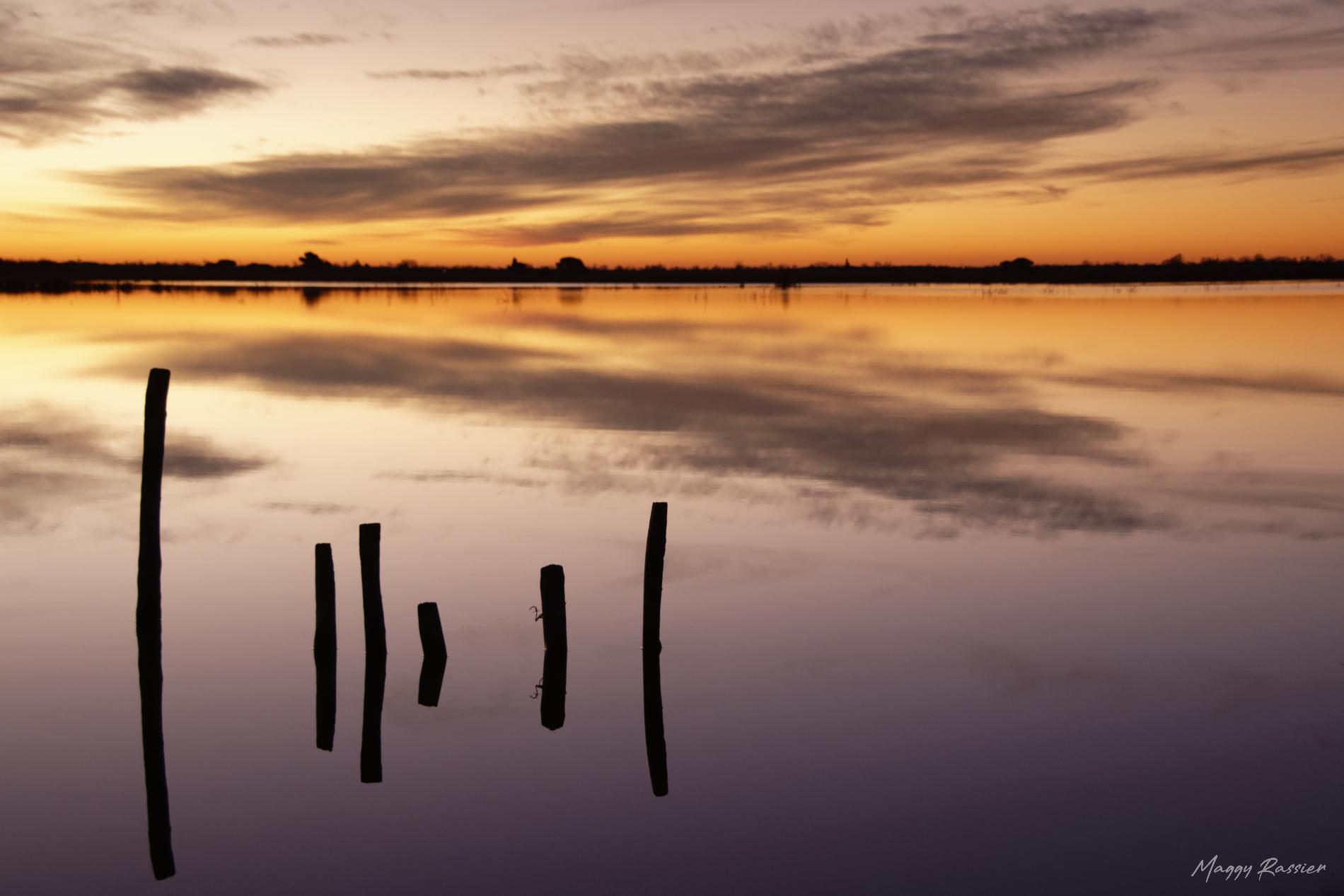 Lever du jour en Camargue