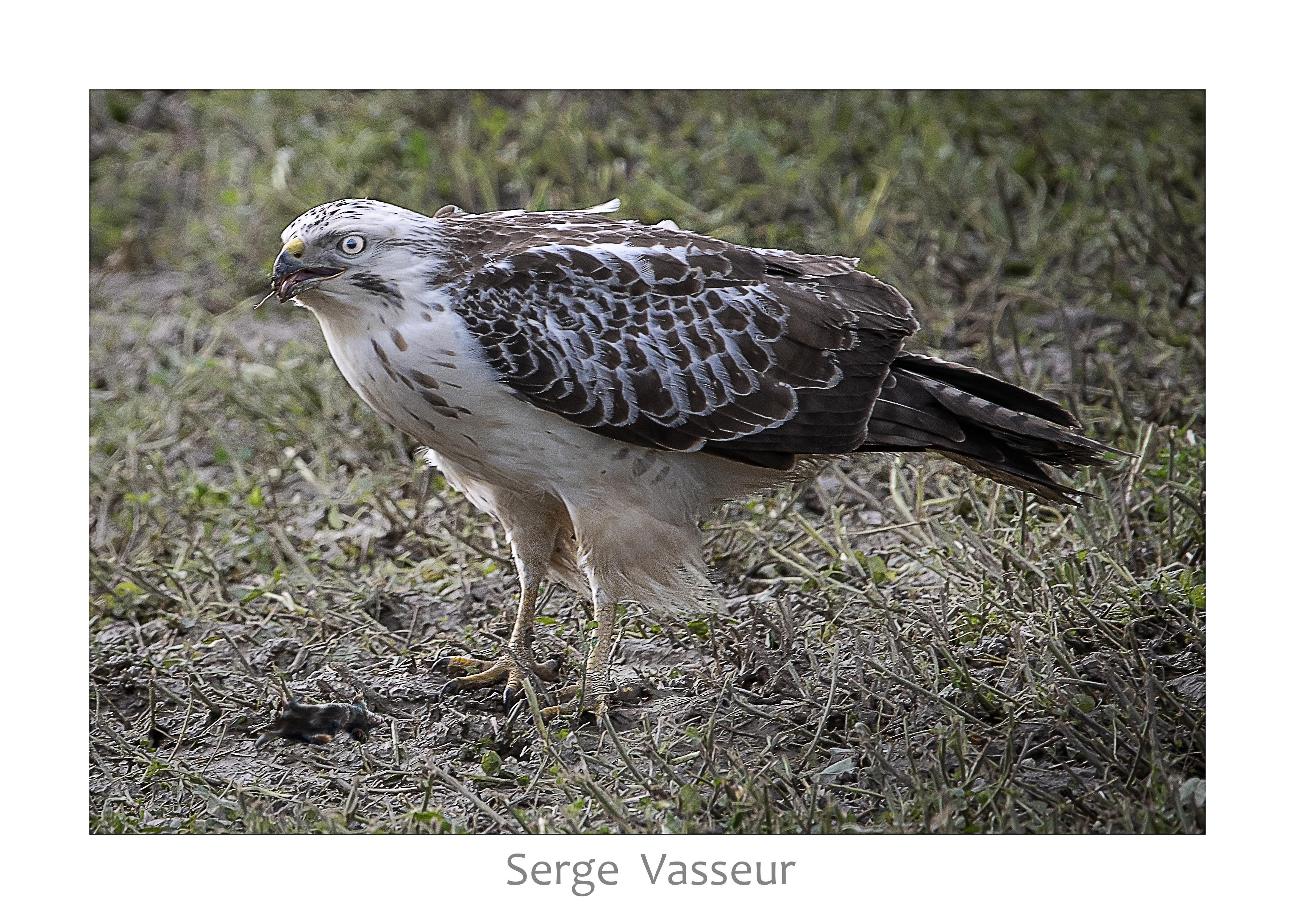 Buse variable ....à table !