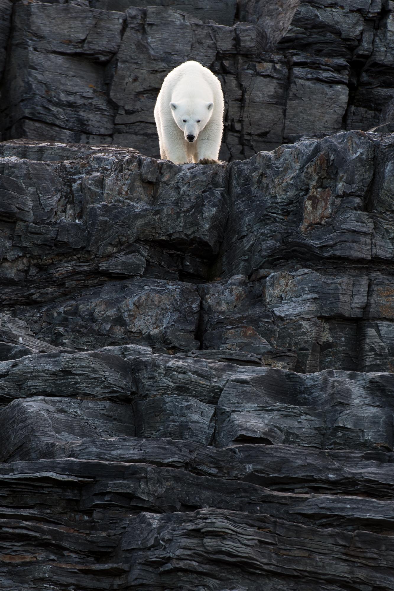 iles Charles XII , svalbard