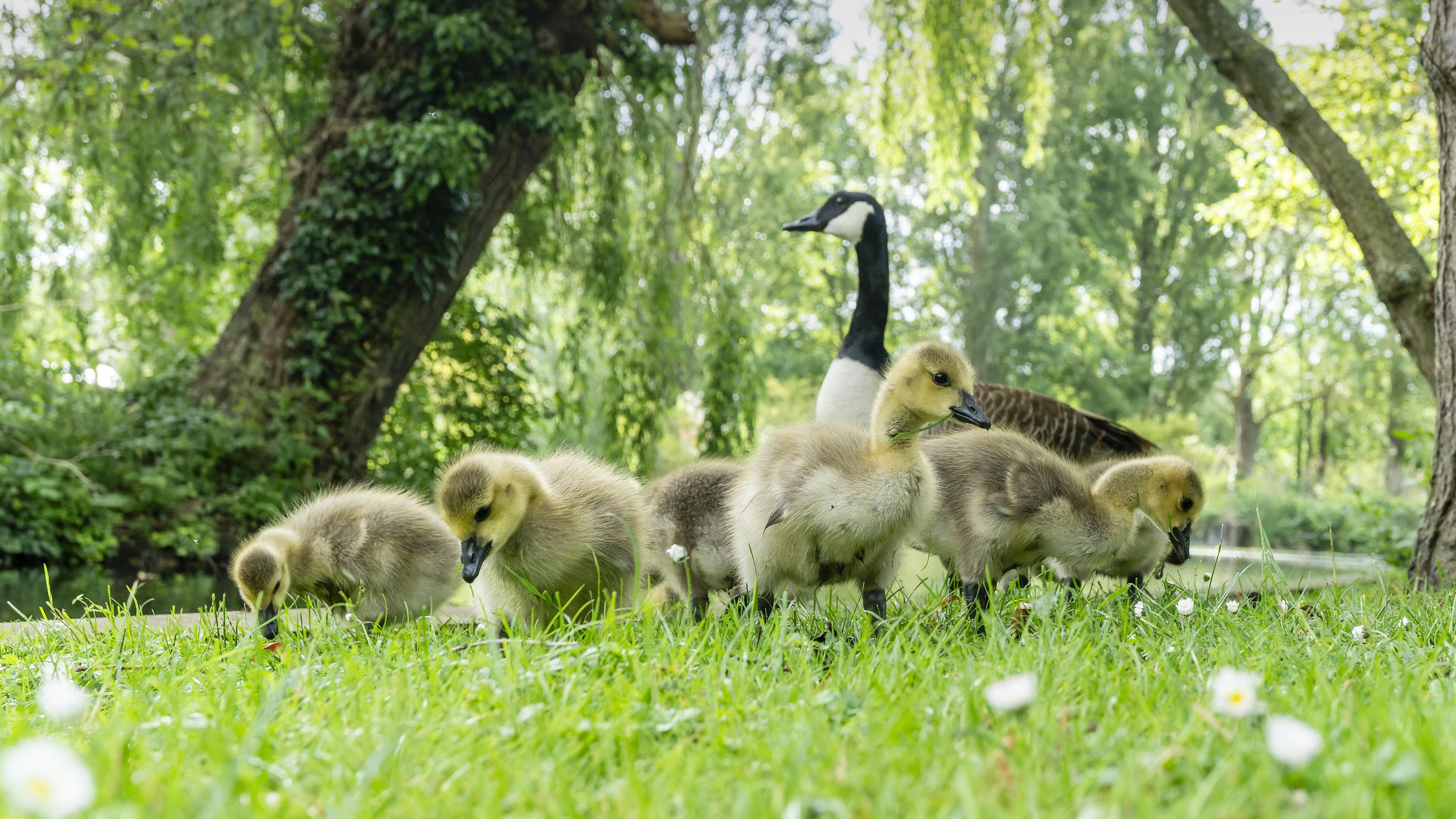 02 - Repas en famille